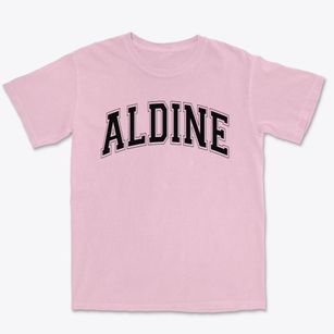 Aldine Middle School Varsity Arch Premium Heavyweight T-shirt