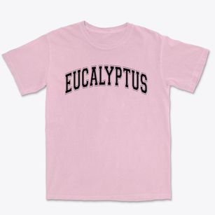 Eucalyptus Elementary School Varsity Arch Premium Heavyweight T-shirt