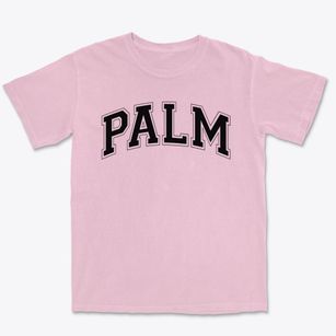 Palm Academy Varsity Arch Premium Heavyweight T-shirt