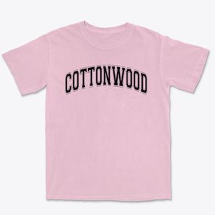 Cottonwood Elementary School Varsity Arch Premium Heavyweight T-shirt