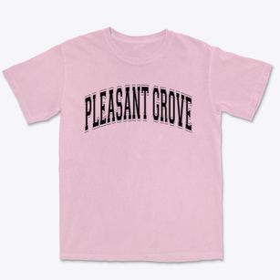 Pleasant Grove Elementary School Varsity Arch Premium Heavyweight T-shirt
