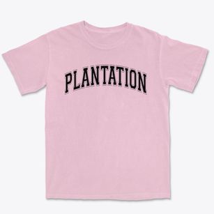 Plantation Middle School Varsity Arch Premium Heavyweight T-shirt