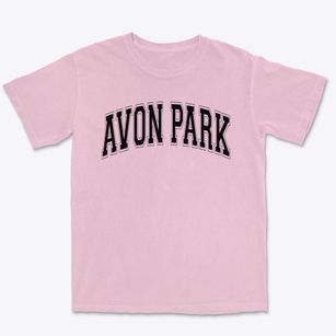 Avon Park Middle School Varsity Arch Premium Heavyweight T-shirt