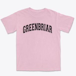 Greenbriar Elementary School Varsity Arch Premium Heavyweight T-shirt