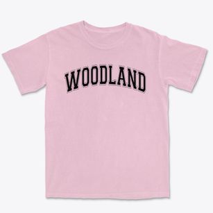 Woodland Elementary School Varsity Arch Premium Heavyweight T-shirt
