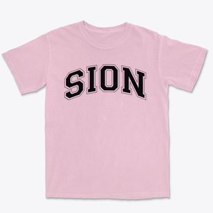 Notre Dame De Sion Prep School Varsity Arch Premium Heavyweight T-shirt