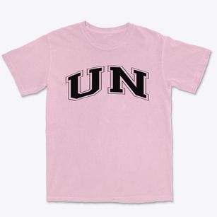 U N International School Varsity Arch Premium Heavyweight T-shirt