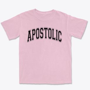 Apostolic Christian Academy Varsity Arch Premium Heavyweight T-shirt