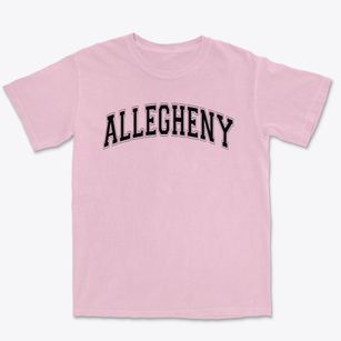 Allegheny Middle School Varsity Arch Premium Heavyweight T-shirt