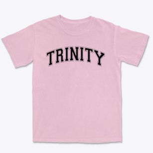 Trinity Elementary School Varsity Arch Premium Heavyweight T-shirt