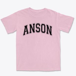 Anson Elementary School Varsity Arch Premium Heavyweight T-shirt