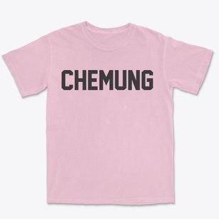 Chemung New York Classic Block Premium Heavyweight T-shirt