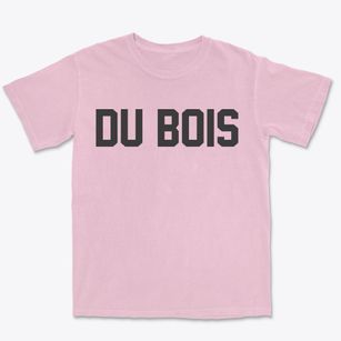 Du Bois Illinois Classic Block Premium Heavyweight T-shirt