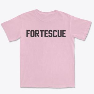 Fortescue Missouri Classic Block Premium Heavyweight T-shirt