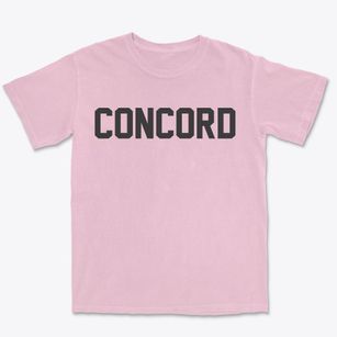 Concord New York Classic Block Premium Heavyweight T-shirt