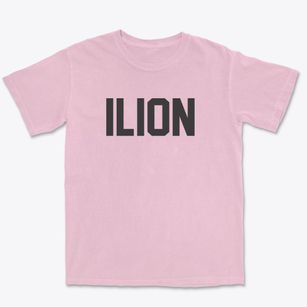 Ilion New York Classic Block Premium Heavyweight T-shirt