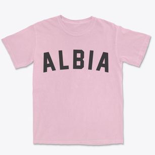 Albia Iowa Classic Curve Premium Heavyweight T-shirt