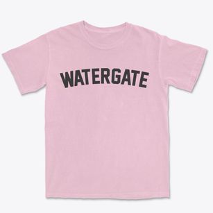 Watergate Florida Classic Curve Premium Heavyweight T-shirt