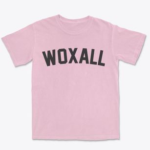 Woxall Pennsylvania Classic Curve Premium Heavyweight T-shirt