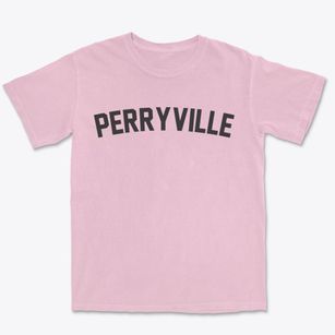 Perryville Arkansas Classic Curve Premium Heavyweight T-shirt