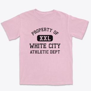 White City Florida Athletic Dept Premium Heavyweight T-shirt