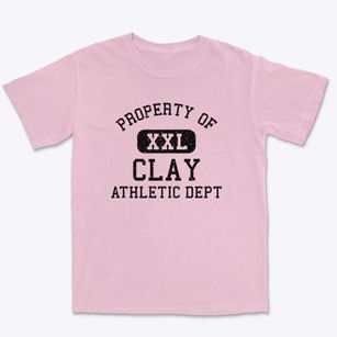 Clay Pennsylvania Athletic Dept Premium Heavyweight T-shirt