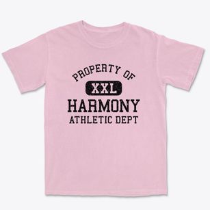 Harmony Minnesota Athletic Dept Premium Heavyweight T-shirt