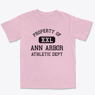 Ann Arbor Michigan Athletic Dept Premium Heavyweight T-shirt