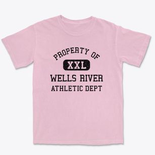Wells River Vermont Athletic Dept Premium Heavyweight T-shirt