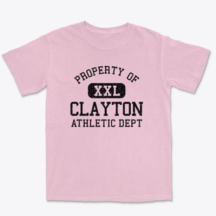 Clayton Washington Athletic Dept Premium Heavyweight T-shirt