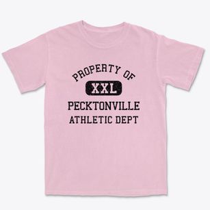 Pecktonville Maryland Athletic Dept Premium Heavyweight T-shirt