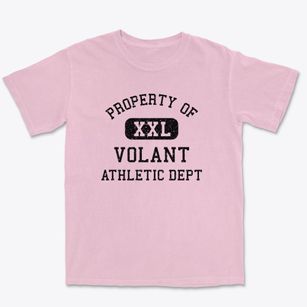 Volant Pennsylvania Athletic Dept Premium Heavyweight T-shirt