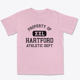 Hartford Wisconsin Athletic Dept Premium Heavyweight T-shirt