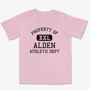 Alden Michigan Athletic Dept Premium Heavyweight T-shirt