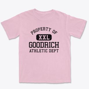 Goodrich North Dakota Athletic Dept Premium Heavyweight T-shirt