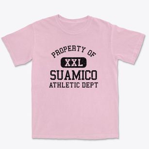 Suamico Wisconsin Athletic Dept Premium Heavyweight T-shirt