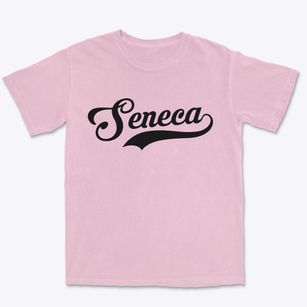 Seneca New York Vintage Team Premium Heavyweight T-shirt