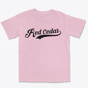Red Cedar Wisconsin Vintage Team Premium Heavyweight T-shirt