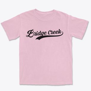Bridge Creek Wisconsin Vintage Team Premium Heavyweight T-shirt