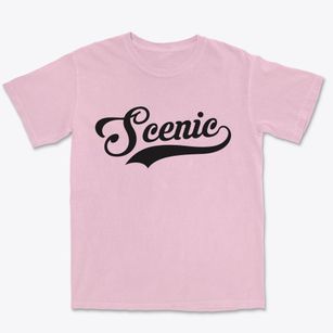 Scenic Arizona Vintage Team Premium Heavyweight T-shirt