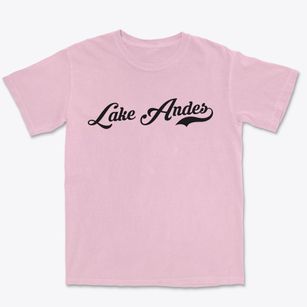 Lake Andes South Dakota Vintage Team Premium Heavyweight T-shirt