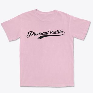 Pleasant Prairie Wisconsin Vintage Team Premium Heavyweight T-shirt