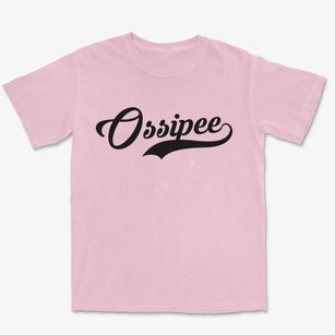 Ossipee North Carolina Vintage Team Premium Heavyweight T-shirt
