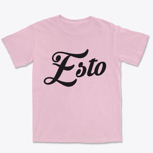 Esto Florida Vintage Team Premium Heavyweight T-shirt