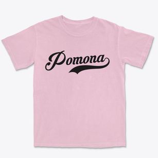 Pomona Missouri Vintage Team Premium Heavyweight T-shirt
