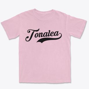 Tonalea Arizona Vintage Team Premium Heavyweight T-shirt