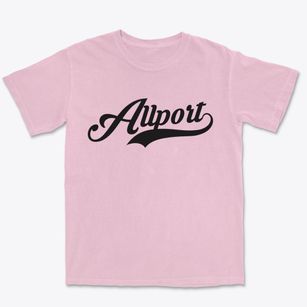 Allport Arkansas Vintage Team Premium Heavyweight T-shirt