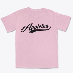 Appleton Wisconsin Vintage Team Premium Heavyweight T-shirt