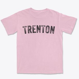 Trenton Missouri Timeless Retro Premium Heavyweight T-shirt