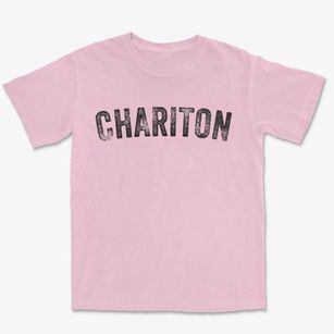 Chariton Iowa Timeless Retro Premium Heavyweight T-shirt